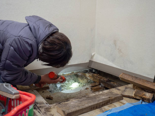 Best Indoor Air Quality Assessment  in De Pere, WI