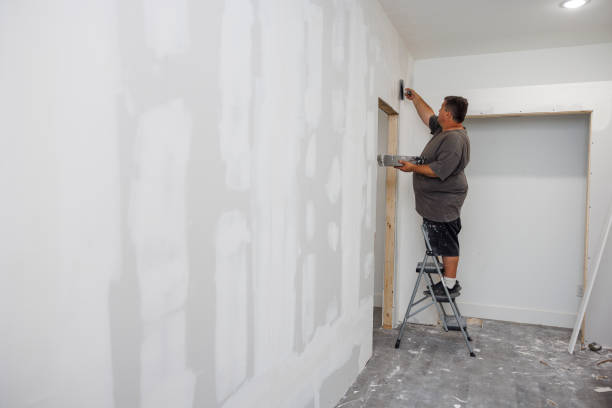 Best Mold Removal for HVAC Installations  in De Pere, WI