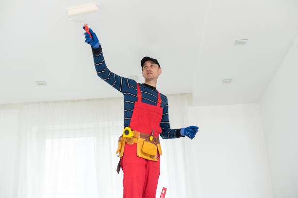 Best Crawl Space Mold Remediation  in De Pere, WI