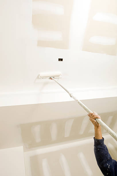 Best Mold Documentation for Insurance Claims  in De Pere, WI