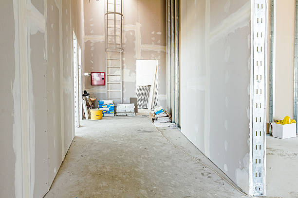 De Pere, WI Mold Removal Company