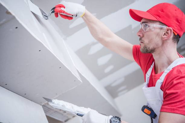 Best Basement Mold Removal  in De Pere, WI